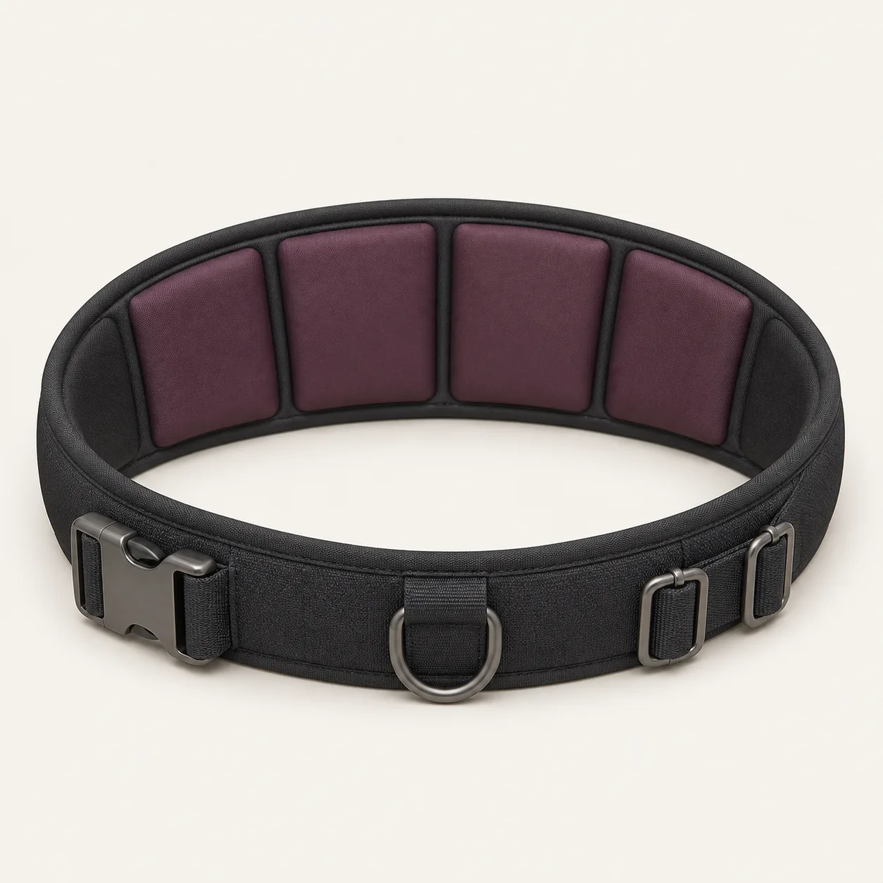 Four-Panel Padded Posture Collar